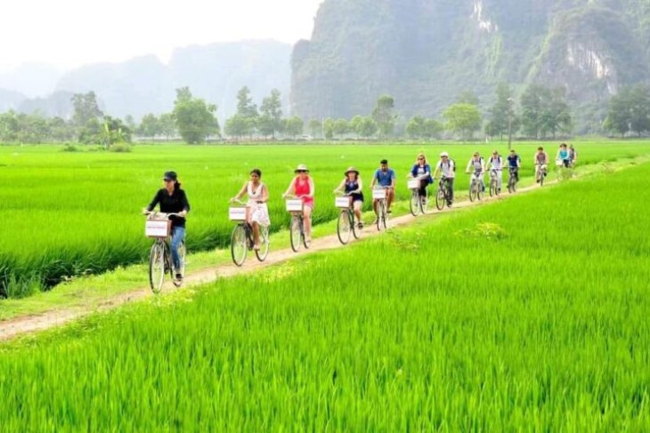 Vietnam In January: Weather, Where To Go, What To See, Itinerary And FAQ Vietnam In January: Weather, Where To Go, What To See, Itinerary And FAQ